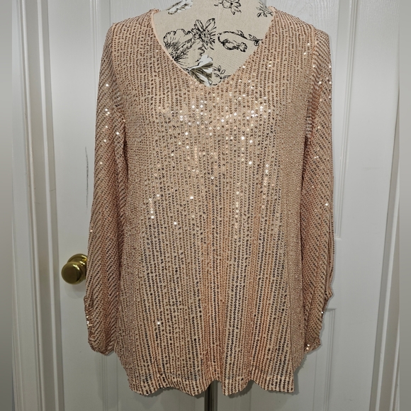 Vine & Love Sparkling Sequin V-Neck Top, Size Small, NWT - Picture 2 of 7